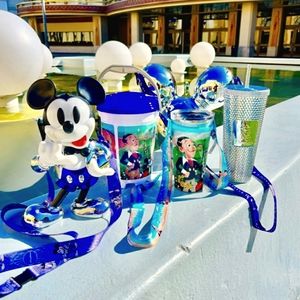 Disney 100th Anniversary Set